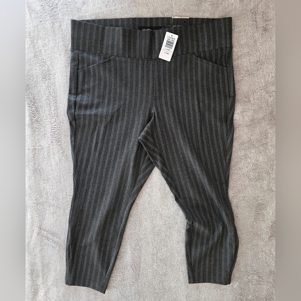 Studio By Torrid Pull On Pocket Pixie Pant